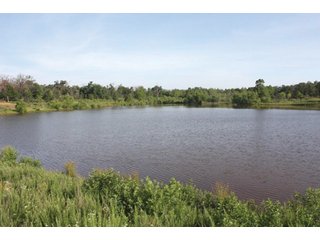 Property photo 6 - Creek County - Oklahoma Land Auction, 1,107 Acres 2 Tracts